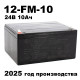 Аккумулятор XINLEINA 24V10Ah/20HR 12-FM-10 - X-12FM10