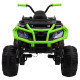 Детский квадроцикл Grizzly Next Green/Black 4WD с пультом управления 2.4G - BDM0909