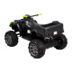 Детский квадроцикл Grizzly Next Green/Black 4WD с пультом управления 2.4G - BDM0909