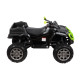Детский квадроцикл Grizzly Next Green/Black 4WD с пультом управления 2.4G - BDM0909