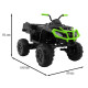 Детский квадроцикл Grizzly Next Green/Black 4WD с пультом управления 2.4G - BDM0909