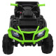 Детский квадроцикл Grizzly Next Green/Black 4WD с пультом управления 2.4G - BDM0909