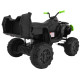 Детский квадроцикл Grizzly Next Green/Black 4WD с пультом управления 2.4G - BDM0909