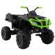 Детский квадроцикл Grizzly Next Green/Black 4WD с пультом управления 2.4G - BDM0909
