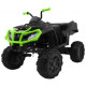 Детский квадроцикл Grizzly Next Green/Black 4WD с пультом управления 2.4G - BDM0909