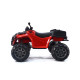 Детский квадроцикл Grizzly Next Red 4WD с пультом управления 2.4G - BDM0909
