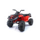 Детский квадроцикл Grizzly Next Red 4WD с пультом управления 2.4G - BDM0909