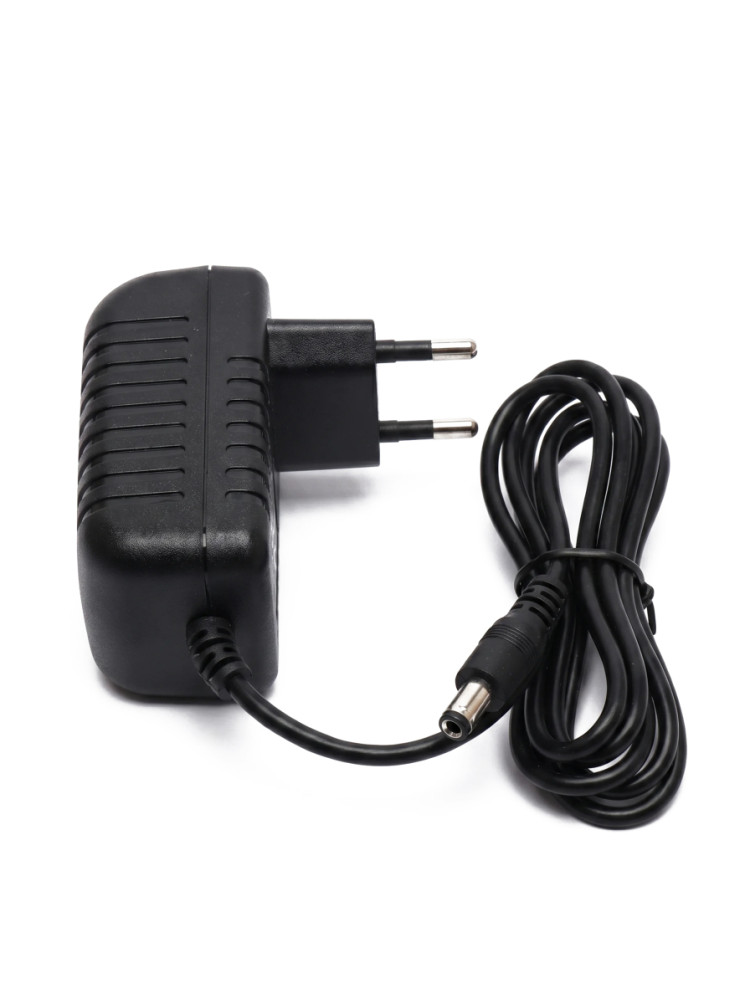 Зарядное устройство RR 12V 1000 mAh для электромобилей - XB-C1210